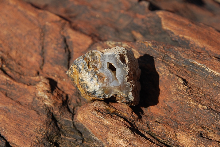 Mineralisches Fundst&uuml;ck im Petrified Forest im S&uuml;den des Nationalparks