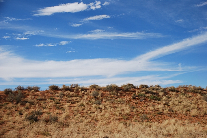 Bewachsene D&uuml;ne im Kgalagadi Nationalpark