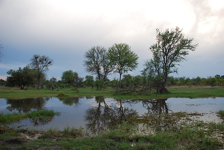 Der Khwai Fluss bei Mababe, s&uuml;dlich des Chobe Nationalparks