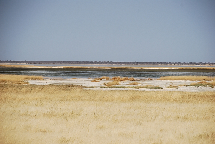 Am &ouml;stlichen Etosha-Pfannenrand