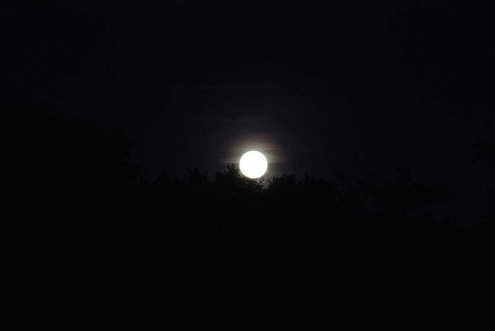Zum Jahresschluss gibt&rsquo;s noch einen Vollmond