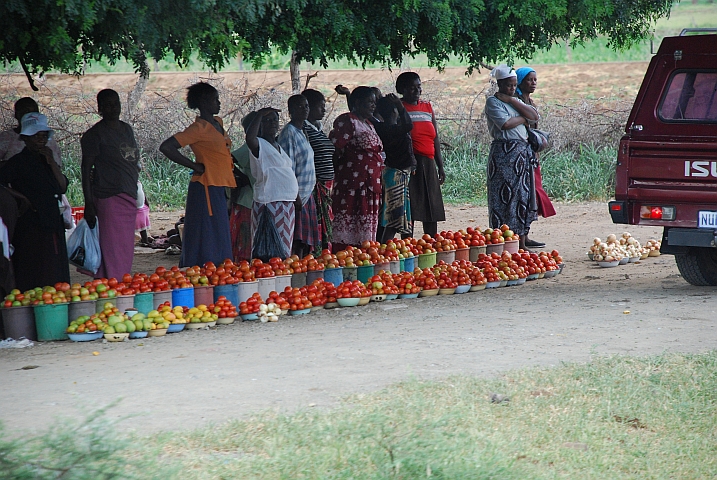 Tomaten- (und Mango-) Verk&auml;uferinnen zwischen Birchenough Bridge und Hot Springs im Osten Simbabwes