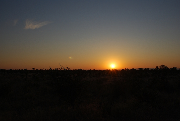 Morgenstimmung bei Shingwedzi