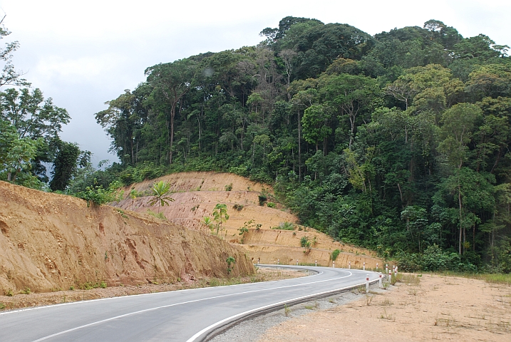 Die neue Teerstrasse von der Grenze Kamerun/Gabun bis zum &Auml;quator wurde grossz&uuml;gig trassiert