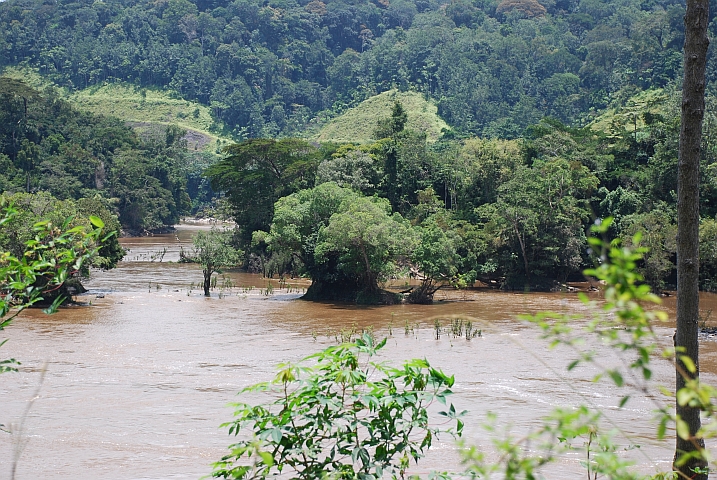 Ogoou&eacute;-Fluss bei Al&egrave;mb&eacute;