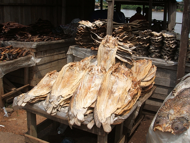 Getrocknete Fische aus dem Ogoou&eacute;-Fluss auf dem Markt in Lambar&eacute;n&eacute;
