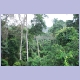 H&auml;ngebr&uuml;cke des &ldquo;Canopy Walk&ldquo; im Kakum Nationalpark