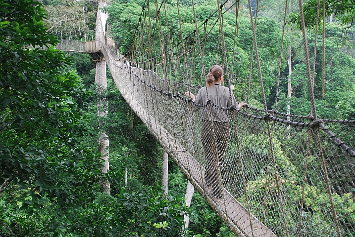 Isabella auf einer H&auml;ngebr&uuml;cke im Kakum Nationalpark