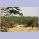 Kiefernwald bei Lab&eacute;