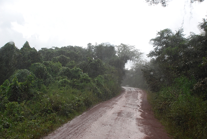 Regenschauer bei B&eacute;ka kurz vor Garoua-Boula&iuml;