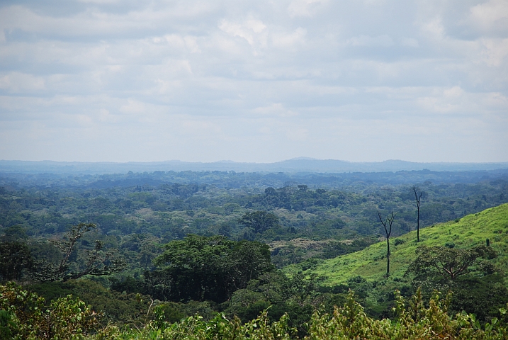 Landschaft zwischen Garoua-Boula&iuml; und Bertoua
