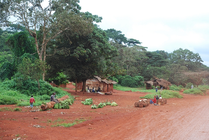 Ein Dorf kurz nach Doum&eacute; an der Piste von Bertoua nach Abong Mbang