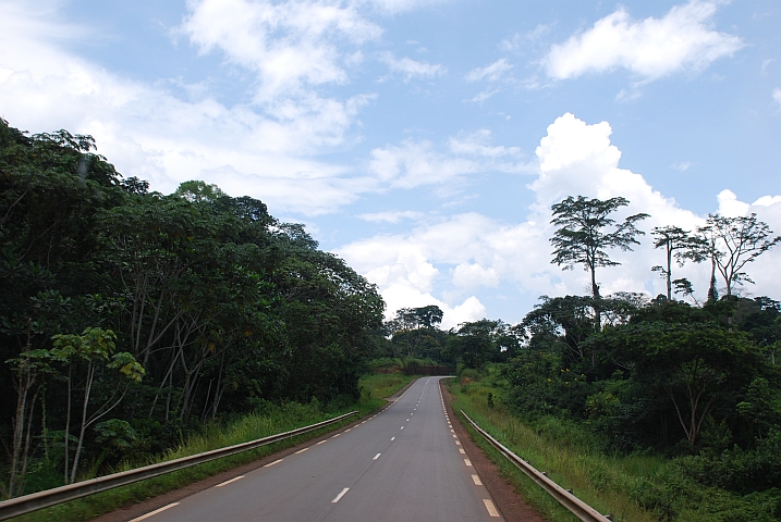 Zwischen Abong Mbang und Yaound&eacute;