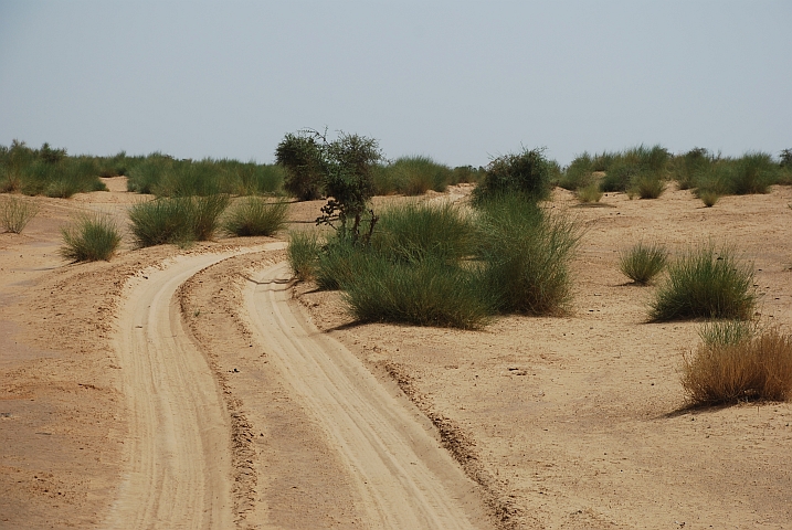 Fahrspur durch die D&uuml;nen im Niger-Binnendelta