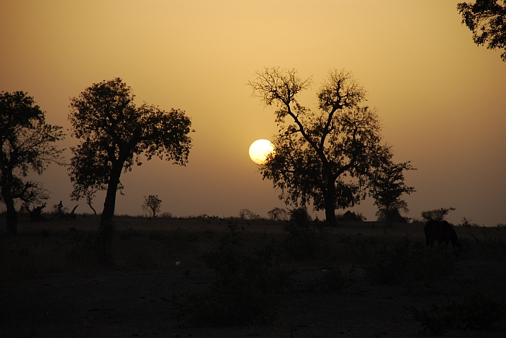 Abendstimmung in Sine Ngay&egrave;ne
