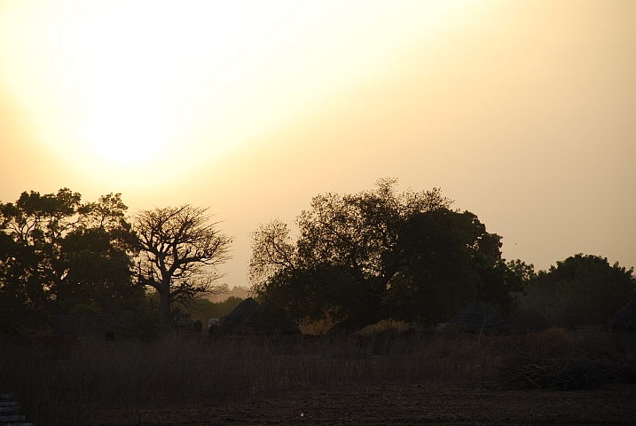 Morgenstimmung in Sine Ngay&egrave;ne