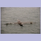 Ausleger-Einbaum im Casamance-Fluss in Ziguinchor
