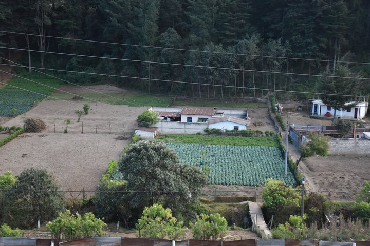 Geh&ouml;ft eingangs Quetzaltenango