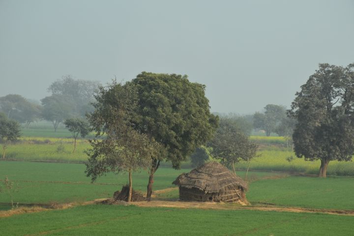 Rundh&uuml;tte und Felder fast wie in Afrika zwischen Delhi und Agra in Nordindien