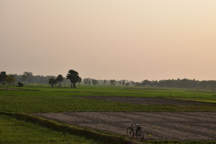 Abendstimmung etwas n&ouml;rdlich von Bardhaman