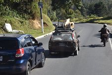 Ein Auto &uuml;berholt ein Auto, das ein Motorrad vor einer un&uuml;bersichtlichen Linkskurve &uuml;berholt