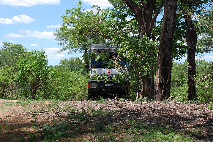 Obelix versteckt sich wie ein Elefant hinter B&uuml;schen (Bwabwata Nationalpark, Namibia)