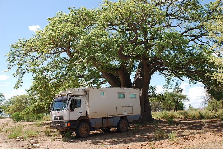 Obelix im Schatten eines Baobab bei Naulila, im S&uuml;den Angolas