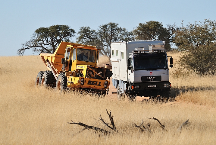 Baustellenkipper umf&auml;hrt Obelix im grossen Bogen (Kgalagadi Nationalpark, S&uuml;dafrika)